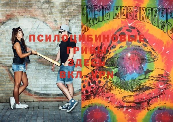 гашик Наволоки