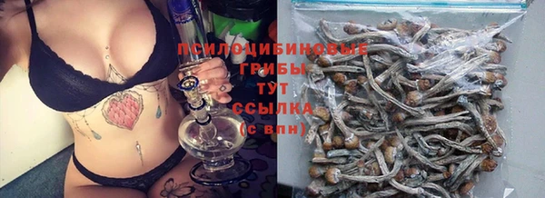 тгк Навашино