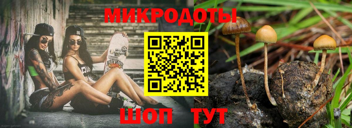 Псилоцибиновые грибы Cubensis Радужный
