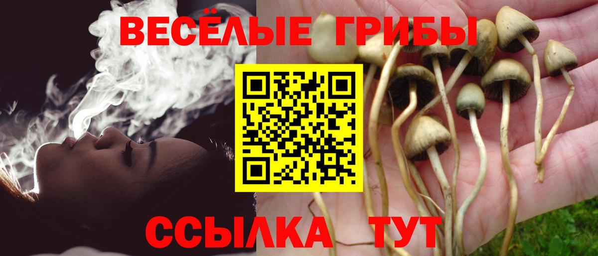 Галлюциногенные грибы GOLDEN TEACHER  Галлюциногенные грибы Psilocybine cubensis  закладка  Вход с VPN  Радужный 
